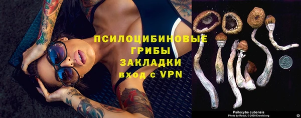 spice Алексеевка